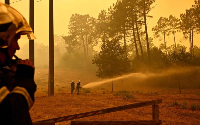 Francia: los incendios forestales requieren una intervención constante