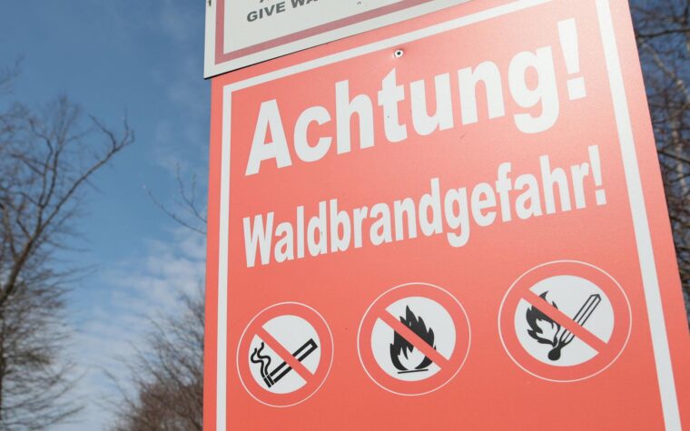 Wetterdienst advierte sobre el aumento del peligro de incendios forestales en Alemania