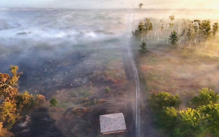 Ola de calor aumenta el riesgo de incendios forestales en Europa
