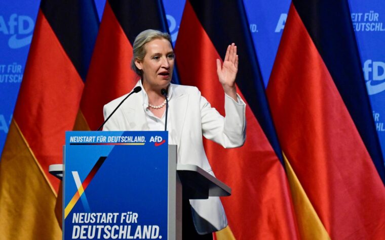 AfD-Congreso del Partido: Weidel y Höcke fortalecen su poder